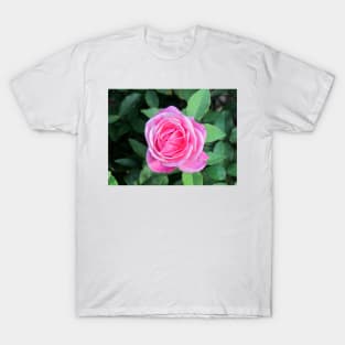 Pink Rose T-Shirt